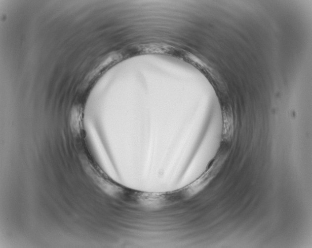 X0000085840142200704132113