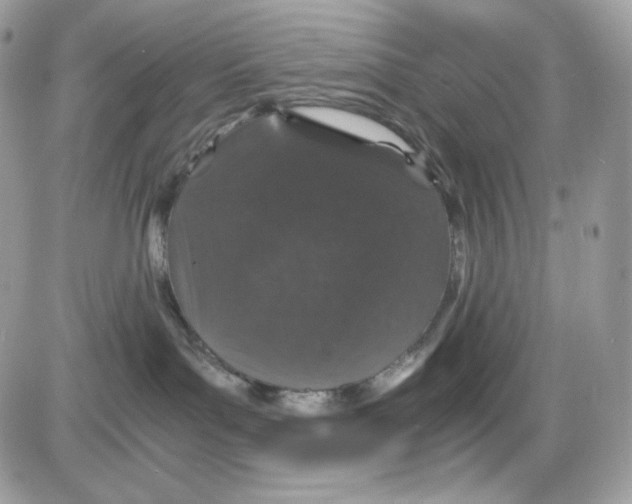 X0000085840143200704132113