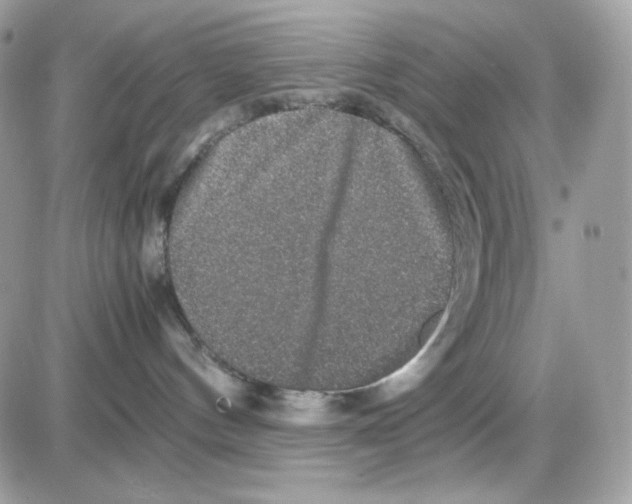 X0000085840144200704132113