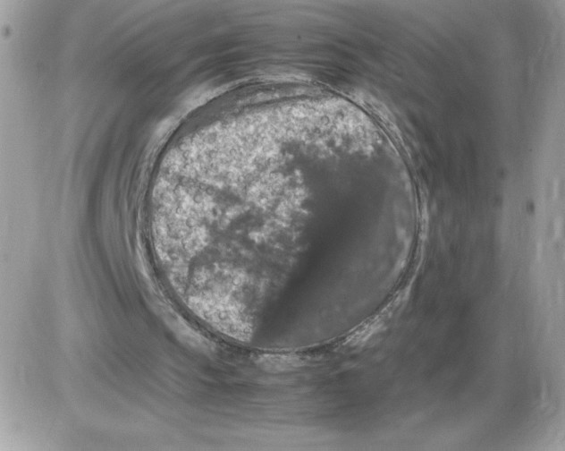 X0000085840145200704132112