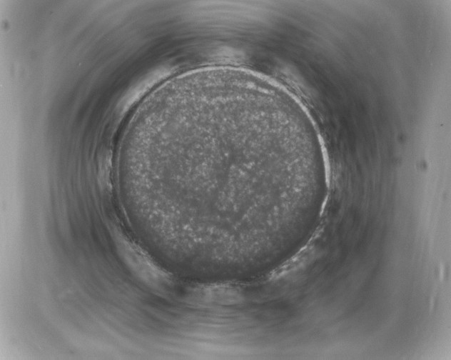 X0000085840146200704132112