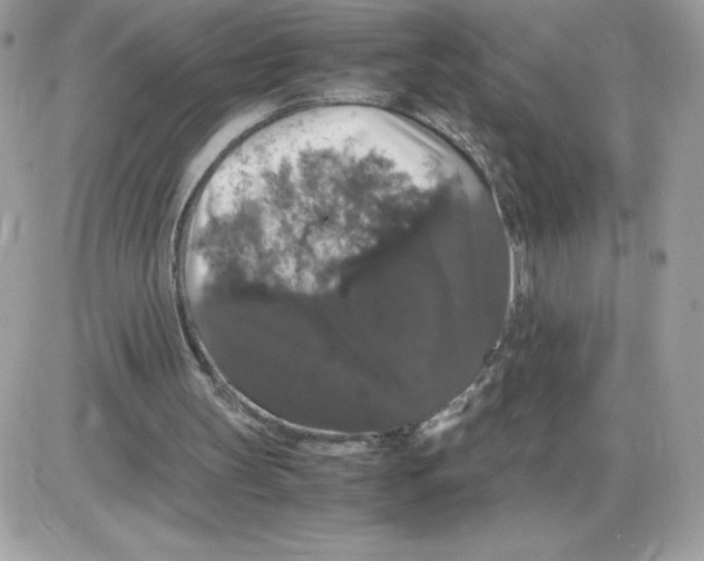 X0000085840147200704132112