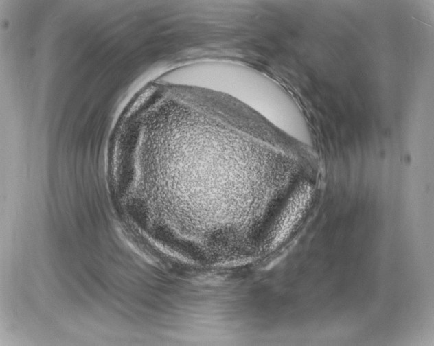 X0000085840148200704132112