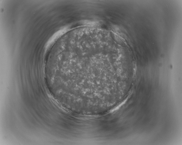 X0000085840149200704132112