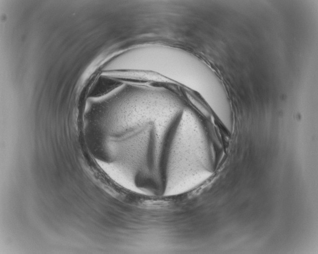 X0000085840150200704132112