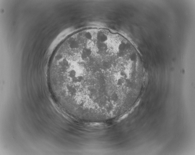 X0000085840151200704132112