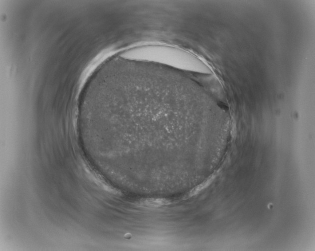 X0000085840152200704132112