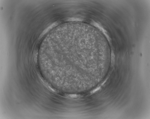 X0000085840153200704132112