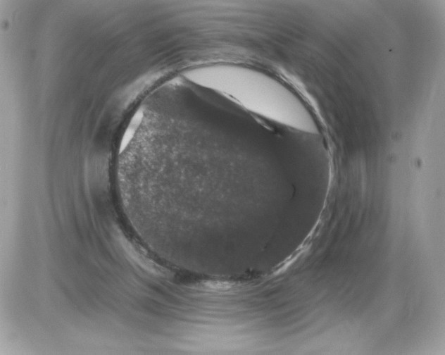 X0000085840154200704132112