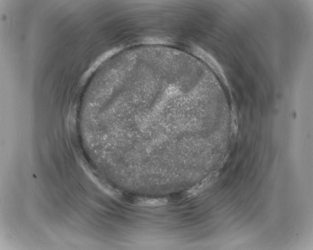 X0000085840155200704132112