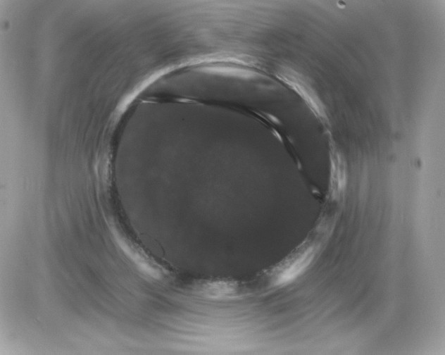 X0000085840156200704132112