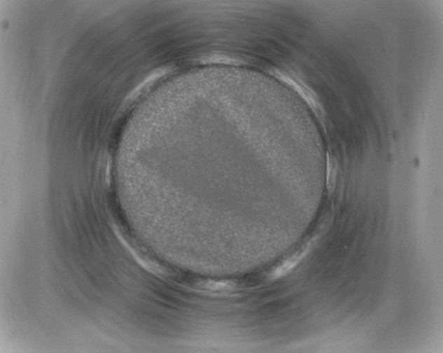 X0000085840157200704132112