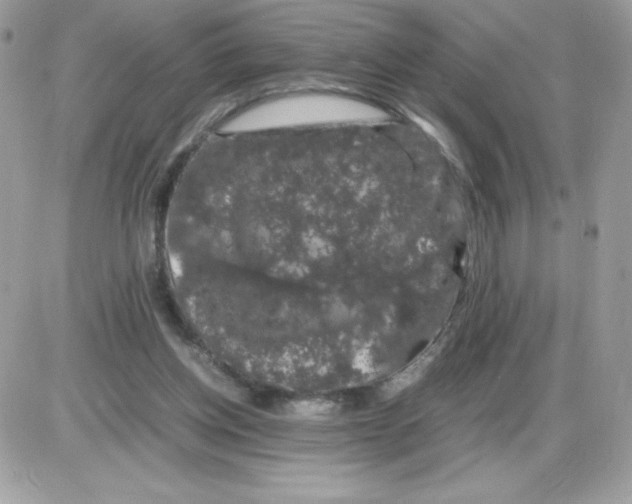 X0000085840158200704132112