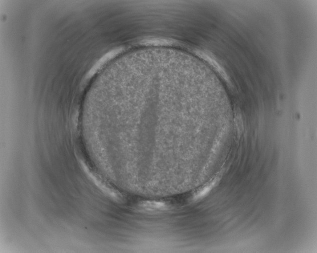 X0000085840159200704132112