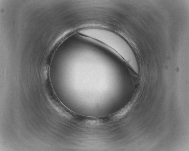 X0000085840160200704132112