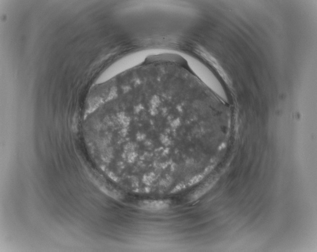 X0000085840161200704132112