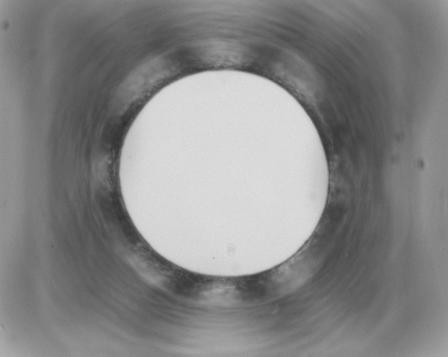 X0000085840162200704132112