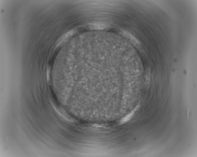 X0000085840166200704132112