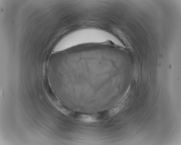 X0000085840167200704132112