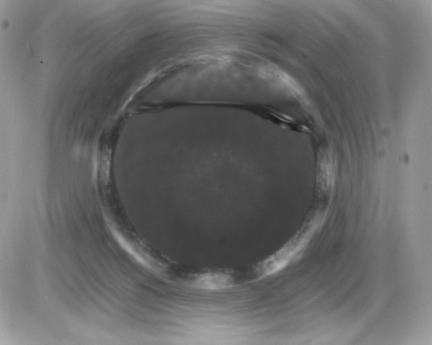 X0000085840168200704132112