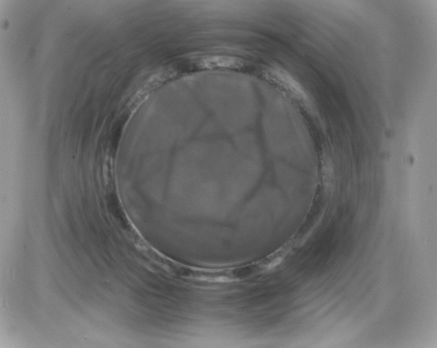 X0000085840169200704132112