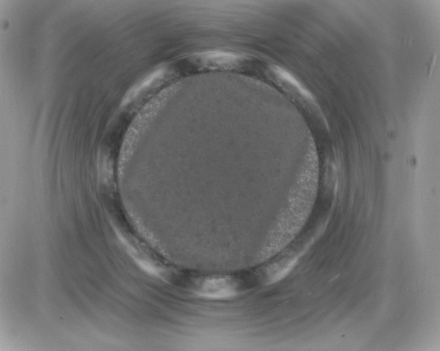 X0000085840173200704132112