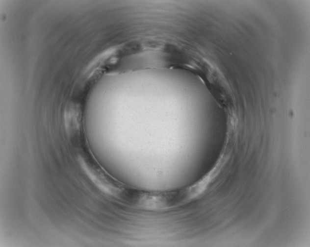 X0000085840174200704132113