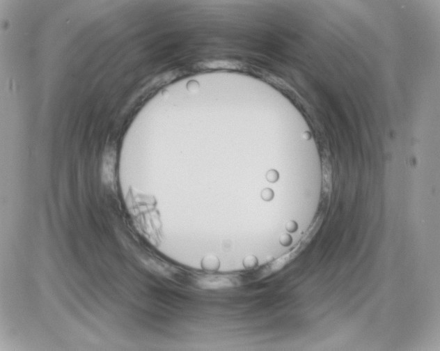 X0000085840175200704132113