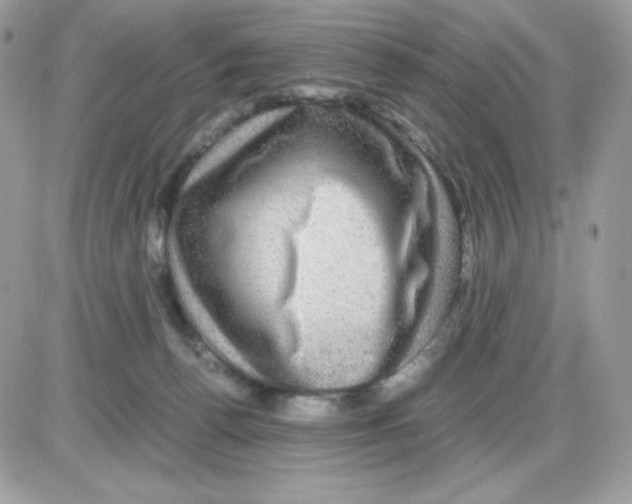 X0000085840176200704132113