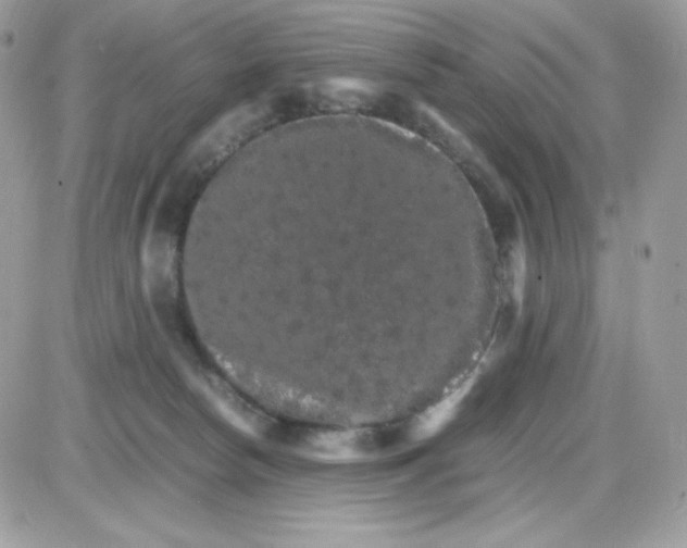 X0000085840178200704132113