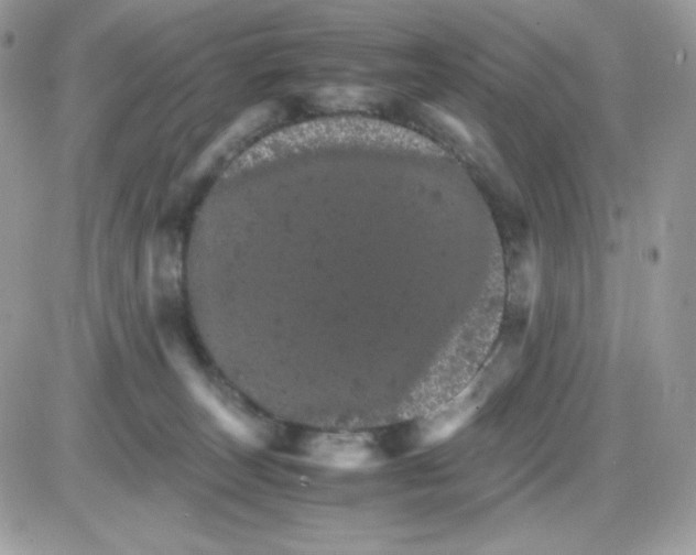 X0000085840179200704132113