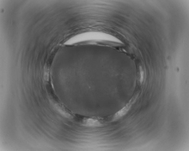 X0000085840180200704132113