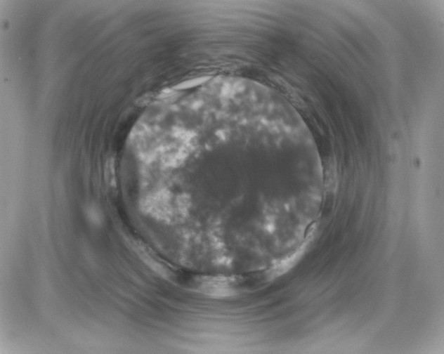 X0000085840182200704132113