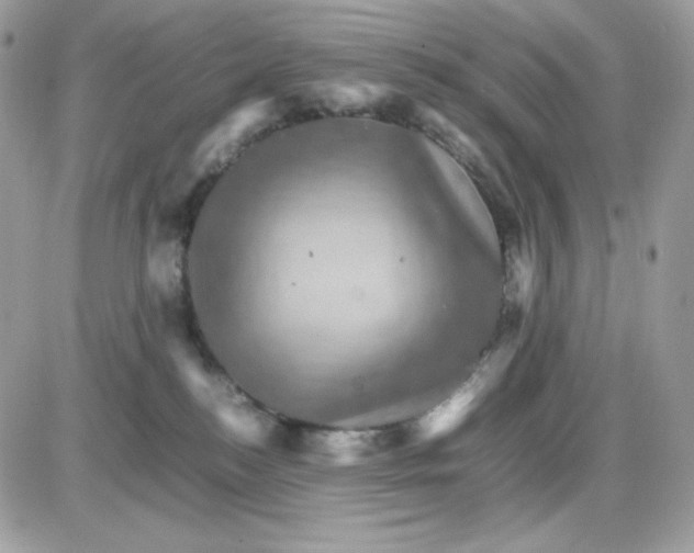 X0000085840184200704132113