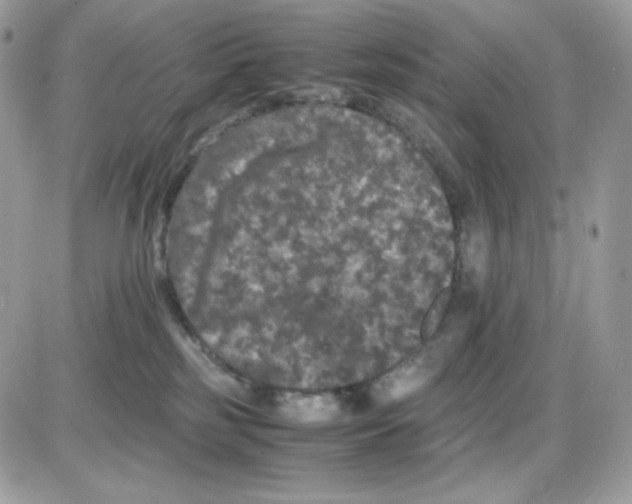 X0000085840185200704132113