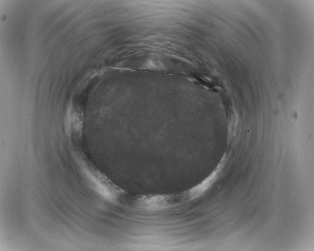 X0000085840186200704132113