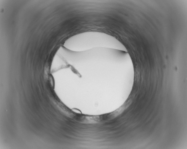 X0000085840188200704132113