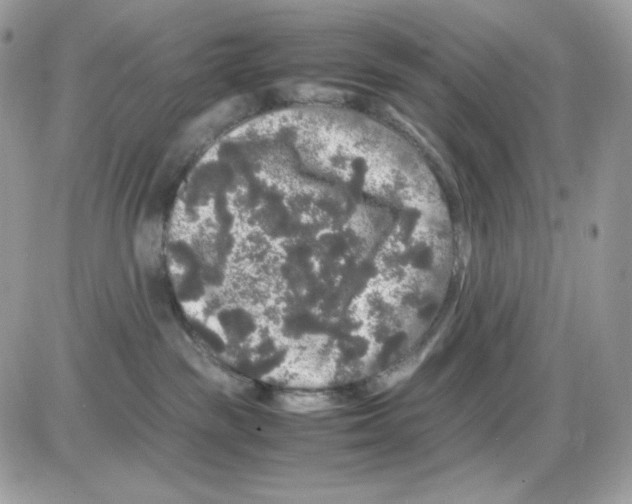 X0000085840189200704132113