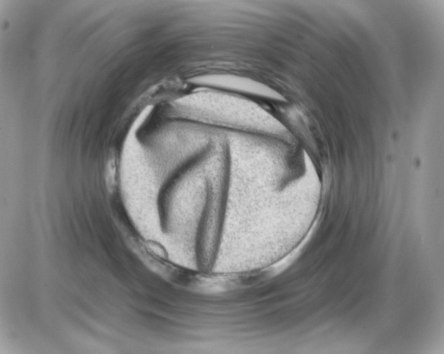 X0000085840190200704132113