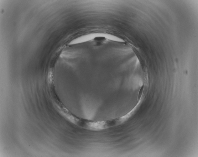 X0000085840191200704132113