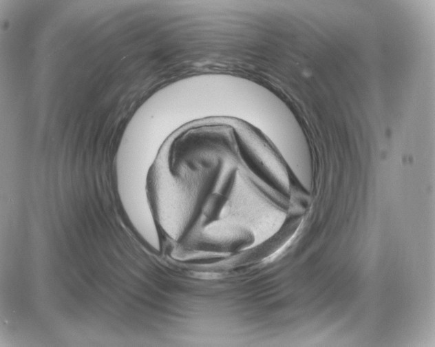 X0000085840192200704132113