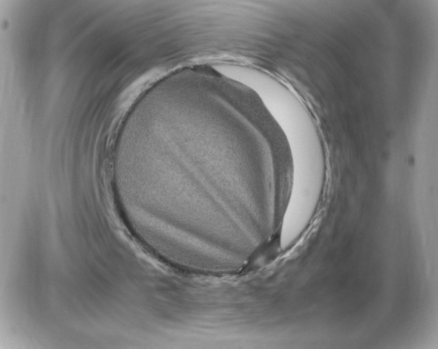 X0000085840193200704132112