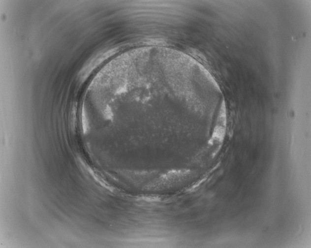 X0000085840194200704132112