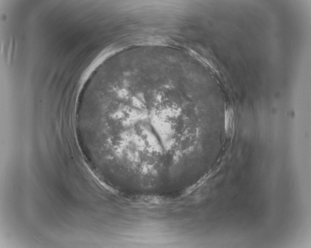 X0000085840195200704132112