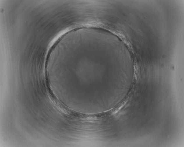 X0000085840196200704132112