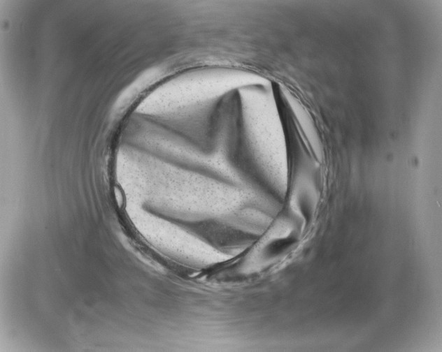 X0000085840197200704132112