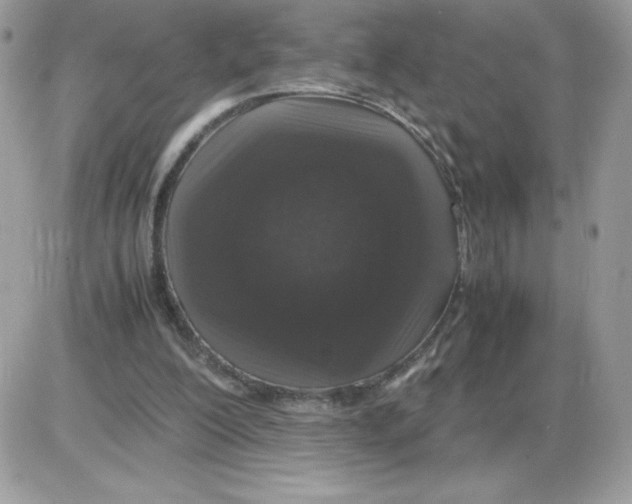 X0000085840200200704132112