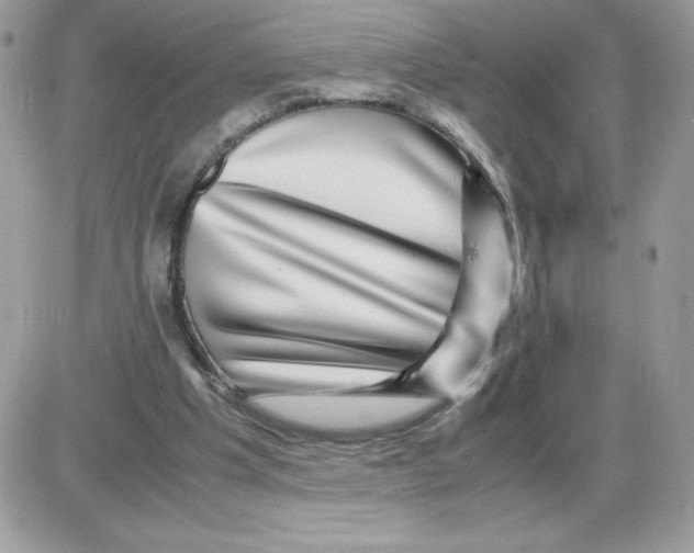 X0000085840201200704132112