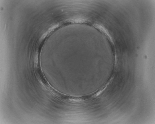 X0000085840202200704132112