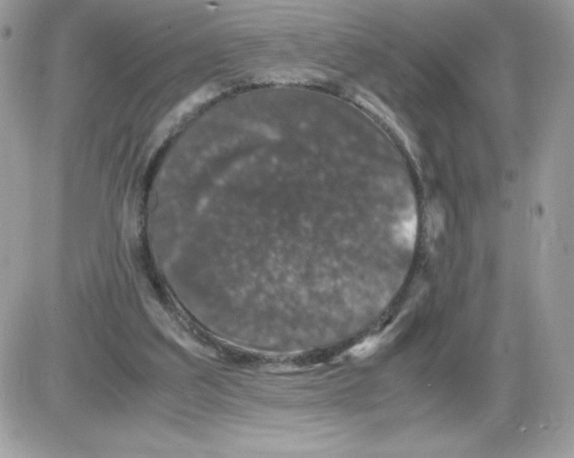 X0000085840203200704132112